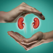 picture of two hands holding an image of two kidneys between them